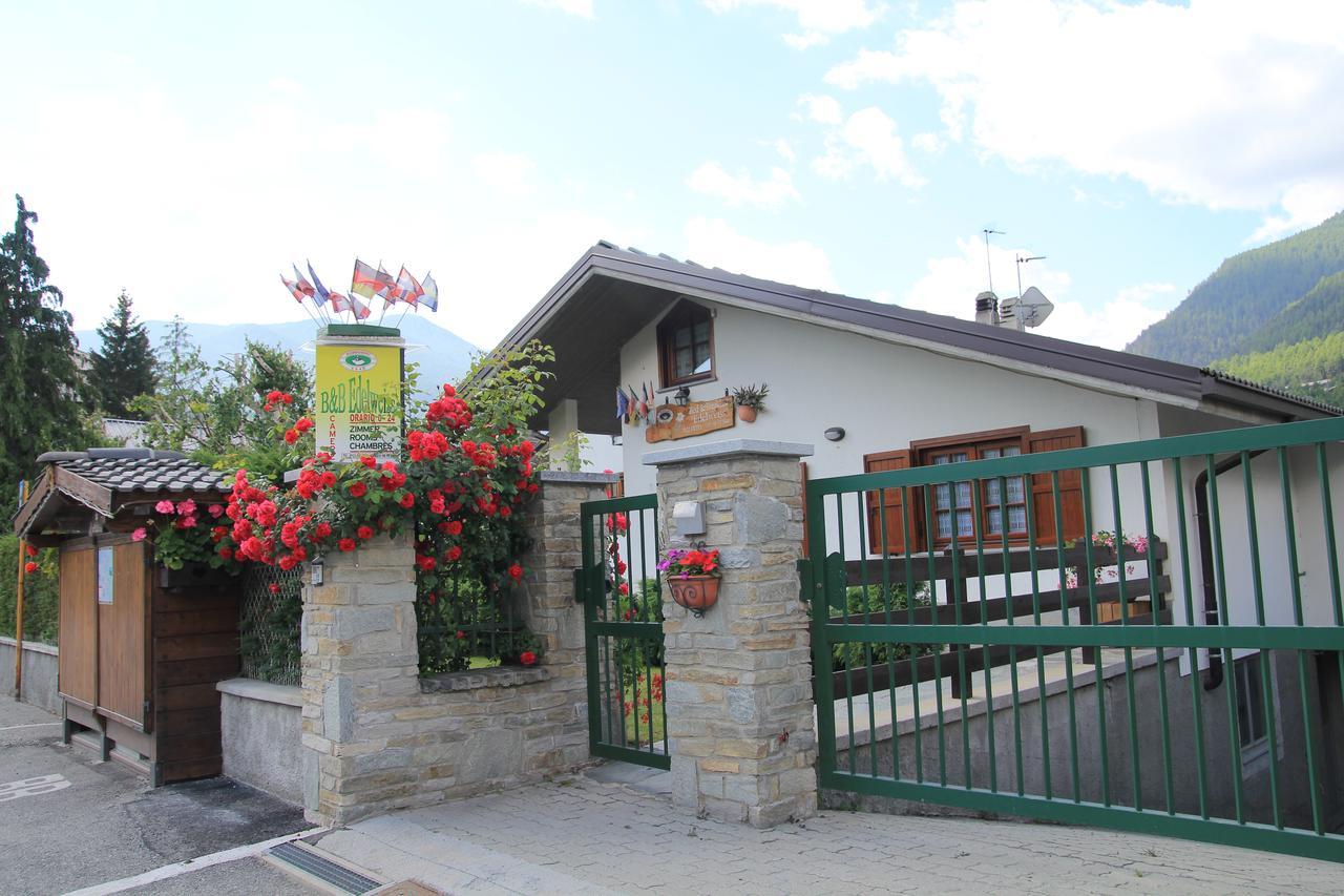 B&B Edelweiss Оулькс Екстер'єр фото